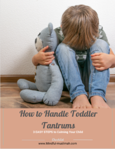 Toddler Tantrums