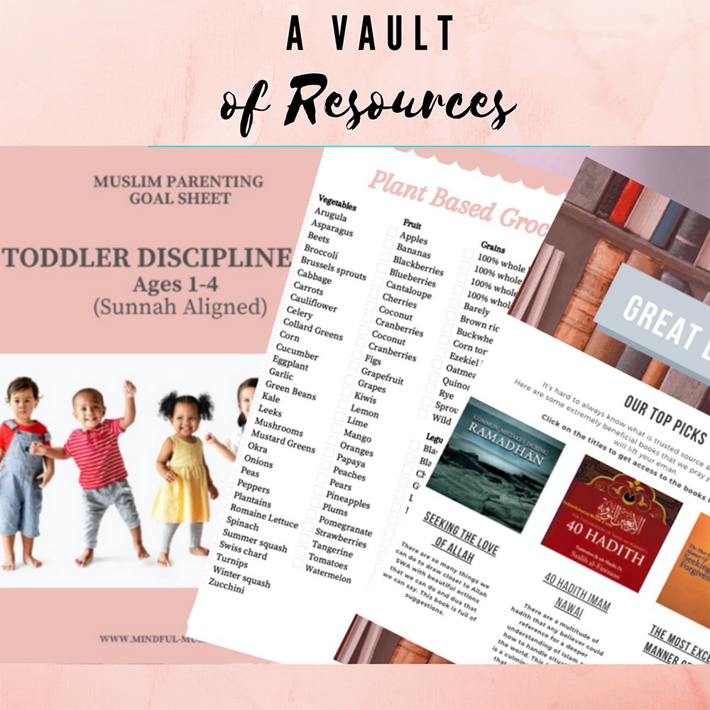 A Vault of resources